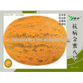 Hybrid F1 Golden Yellow Sweet Hami Melon Seeds Japanese Cantaloupe Melon Seed For Growing-High Resistance Golden Honey No.8